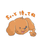 トイプードルのファーちゃん（個別スタンプ：6）