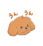 トイプードルのファーちゃん（個別スタンプ：9）
