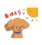 トイプードルのファーちゃん（個別スタンプ：13）