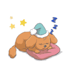 トイプードルのファーちゃん（個別スタンプ：16）