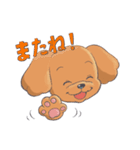 トイプードルのファーちゃん（個別スタンプ：17）