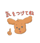 トイプードルのファーちゃん（個別スタンプ：20）