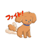 トイプードルのファーちゃん（個別スタンプ：22）