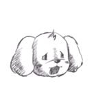 トイプードルのファーちゃん（個別スタンプ：34）