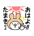 【たまき】の名前うさぎ（個別スタンプ：1）