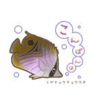 水族館スタンプ（個別スタンプ：2）
