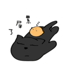 Black Cat and sG（個別スタンプ：4）