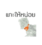 rubber Plastic band for imagine（個別スタンプ：11）