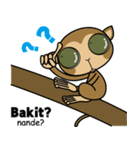 ターシャとタガログ会話（個別スタンプ：33）