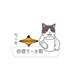 bobble cat moving emotions（個別スタンプ：5）