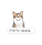 bobble cat moving emotions（個別スタンプ：13）