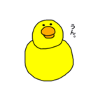 ひよこのくみちゃん（個別スタンプ：1）