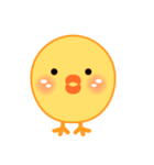 Simple chick chick sticker（個別スタンプ：1）