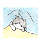 白黒ハチワレ猫（個別スタンプ：6）