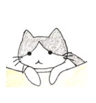 白黒ハチワレ猫（個別スタンプ：26）