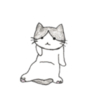 白黒ハチワレ猫（個別スタンプ：29）