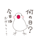 白文鳥 行事（オールシーズン）（個別スタンプ：40）