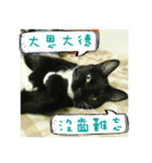 The most cutiest Kumachyan（個別スタンプ：2）