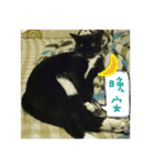 The most cutiest Kumachyan（個別スタンプ：15）