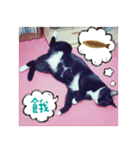 The most cutiest Kumachyan（個別スタンプ：26）