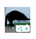 The most cutiest Kumachyan（個別スタンプ：32）