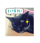 The most cutiest Kumachyan（個別スタンプ：35）