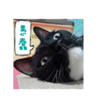 The most cutiest Kumachyan（個別スタンプ：36）