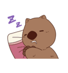 ウォンバット スタンプ（個別スタンプ：6）