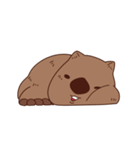 ウォンバット スタンプ（個別スタンプ：19）