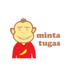 college monkey（個別スタンプ：17）