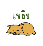 Maew Meaw See Som（個別スタンプ：35）