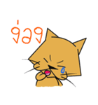 Maew Meaw See Som（個別スタンプ：40）
