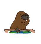 ボドゲしましょ（個別スタンプ：14）