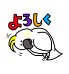 とんちゃんとぴっけ2（個別スタンプ：31）