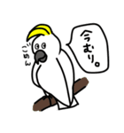 とんちゃんとぴっけ2（個別スタンプ：40）
