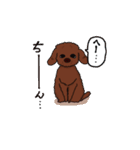 トイプードルの敬語スタンプ2（個別スタンプ：3）