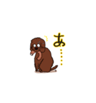 トイプードルの敬語スタンプ2（個別スタンプ：9）