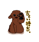 トイプードルの敬語スタンプ2（個別スタンプ：12）