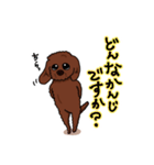 トイプードルの敬語スタンプ2（個別スタンプ：13）