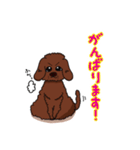 トイプードルの敬語スタンプ2（個別スタンプ：14）