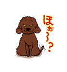 トイプードルの敬語スタンプ2（個別スタンプ：16）