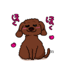 トイプードルの敬語スタンプ2（個別スタンプ：17）