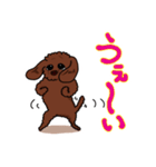 トイプードルの敬語スタンプ2（個別スタンプ：35）