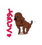 トイプードルの敬語スタンプ2（個別スタンプ：38）