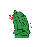 Cacti-san（個別スタンプ：2）
