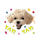 XuanXuan The Fun Loving Doggy（個別スタンプ：3）