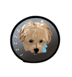 XuanXuan The Fun Loving Doggy（個別スタンプ：5）