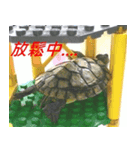 Tortoise-Family 2（個別スタンプ：5）