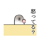 変なボタンインコのスタンプ（個別スタンプ：16）