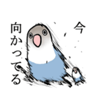 変なボタンインコのスタンプ（個別スタンプ：19）